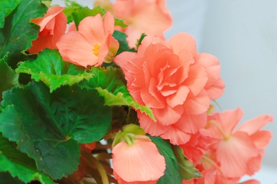 8C9A5353_副本.jpg