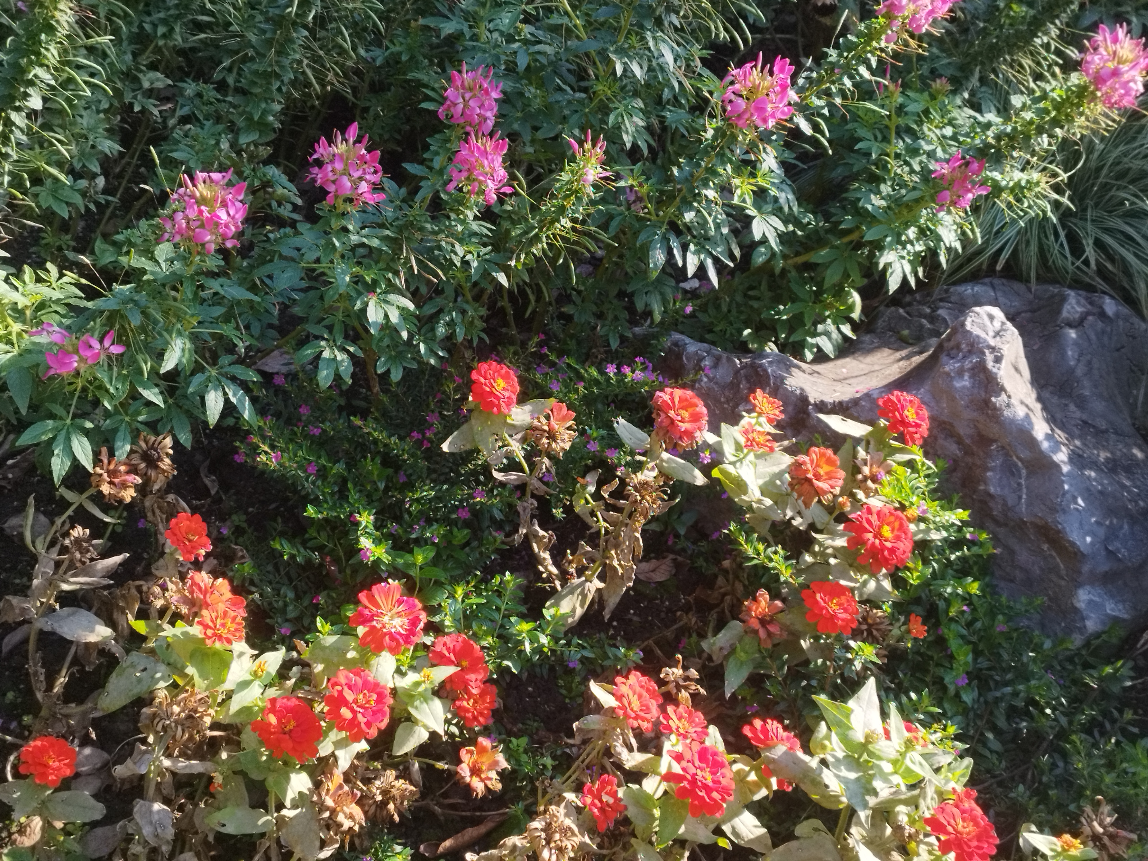 微信图片_20231113113150.jpg 微信图片_20231113113150.jpg