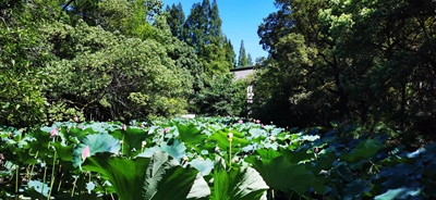 158d99e97a32137e2afa401cf8ecbf6.jpg 158d99e97a32137e2afa401cf8ecbf6.jpg