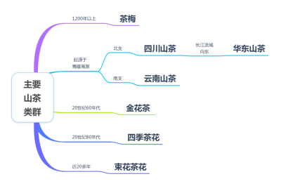 具有中国特色的中国山茶主要类群.png 具有中国特色的中国山茶主要类群.png