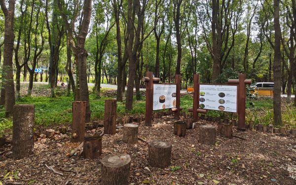 BodyPart_62c25800-53e3-4956-a63c-da770b8d5d7d.jpg BodyPart_62c25800-53e3-4956-a63c-da770b8d5d7d.jpg