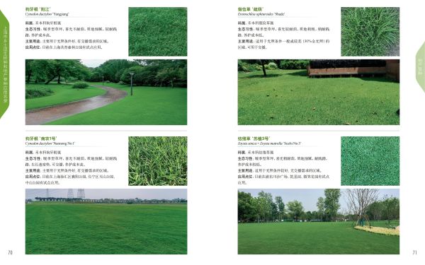 上海市乡土适生树种和地产草种应用名录_2026-3-31_1__39.jpg