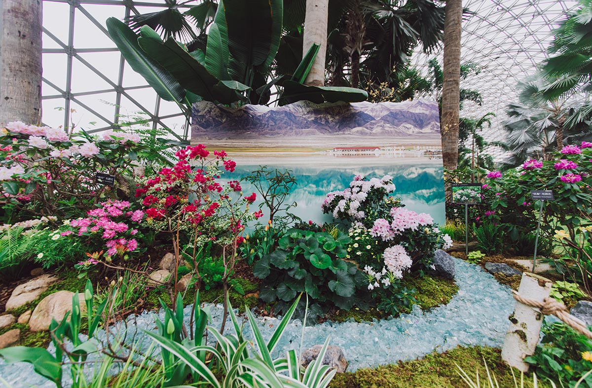 青海——游花景 (2).jpg