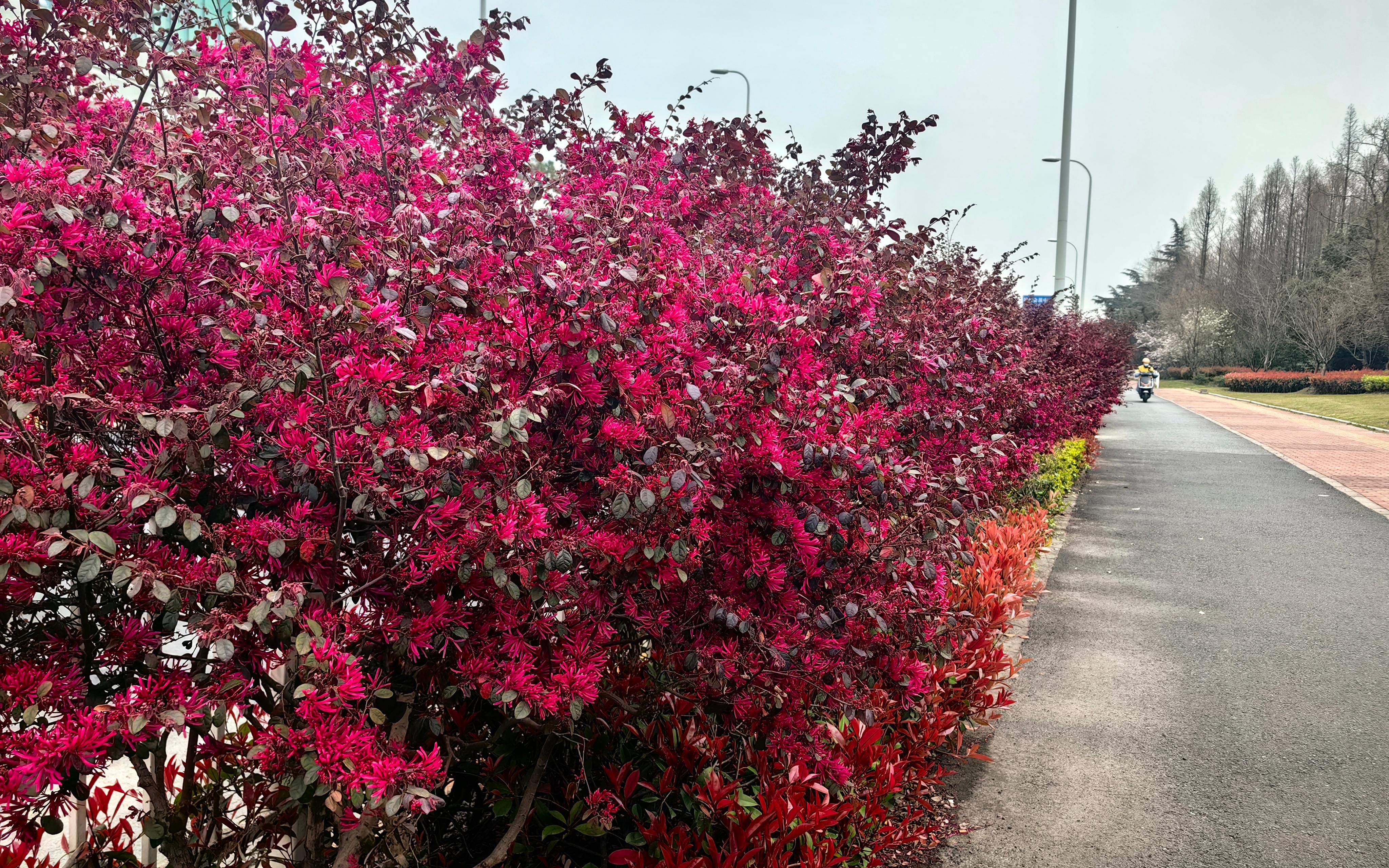 0e2ebb0abaa3fb17ce31d631cf9abf1.jpg 0e2ebb0abaa3fb17ce31d631cf9abf1.jpg