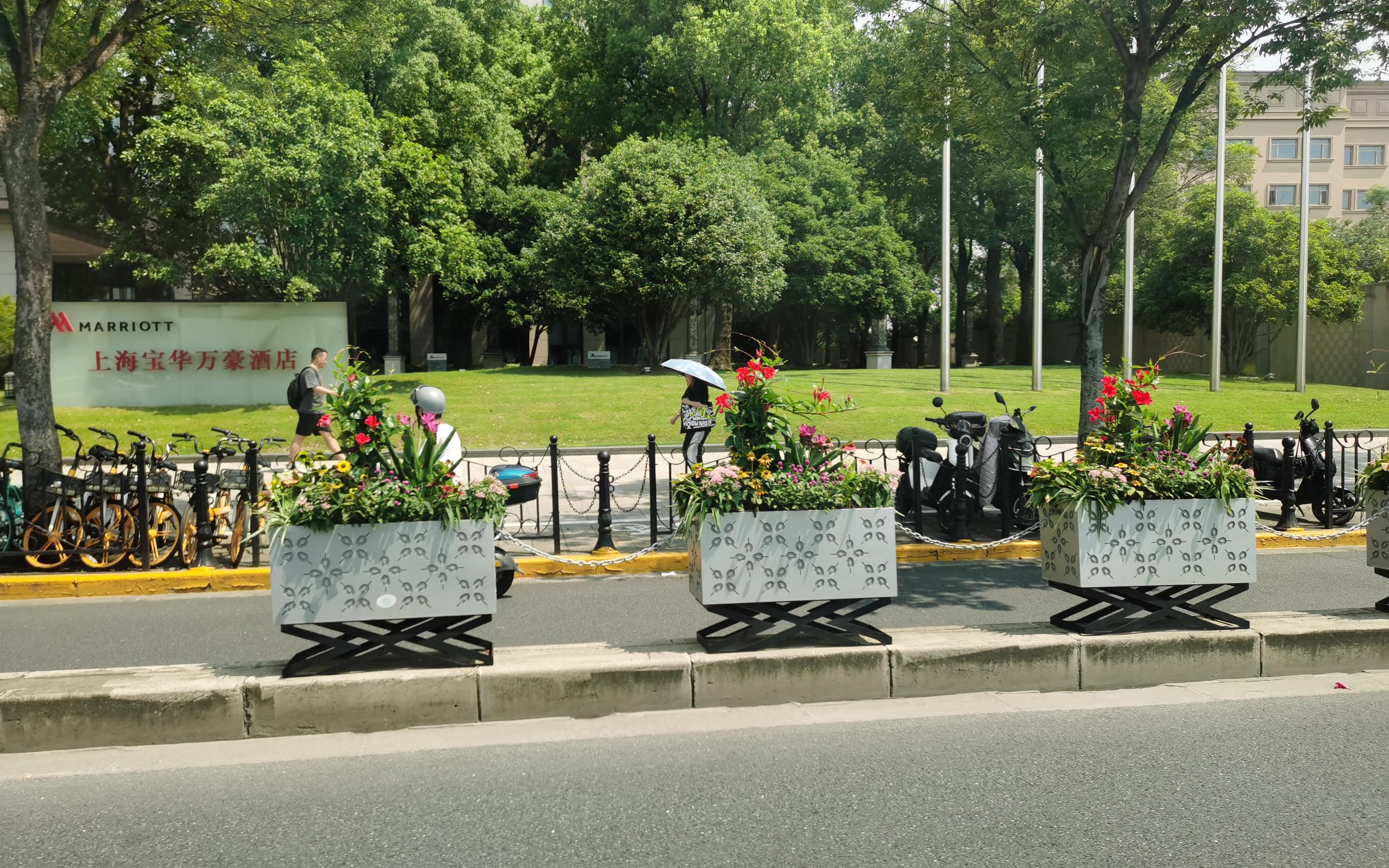 5 广中路飘香藤示范应用.jpg