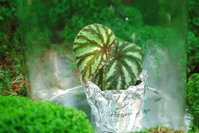 8C9A5306_副本.jpg