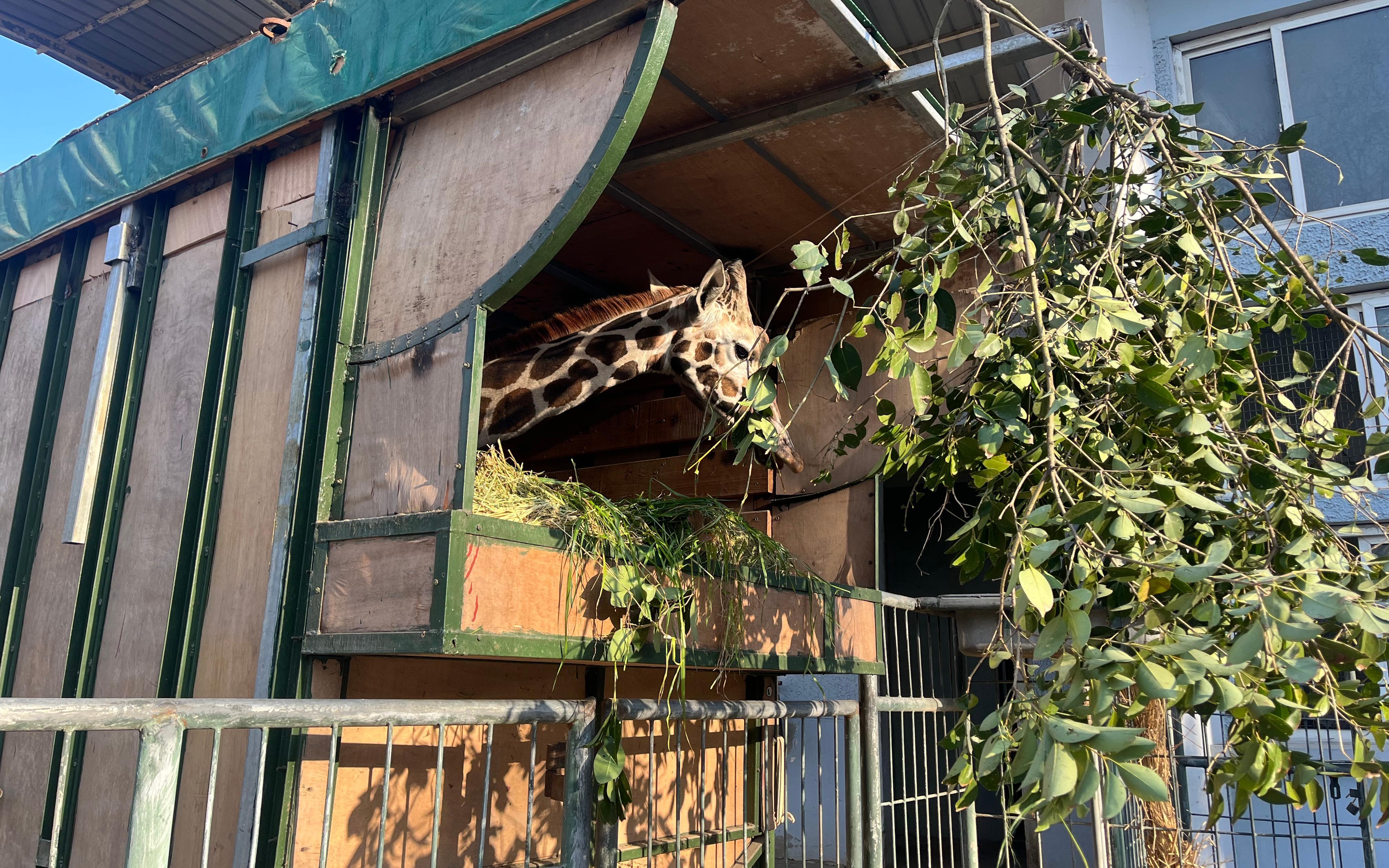 微信图片_20230319075142.jpg 微信图片_20230319075142.jpg