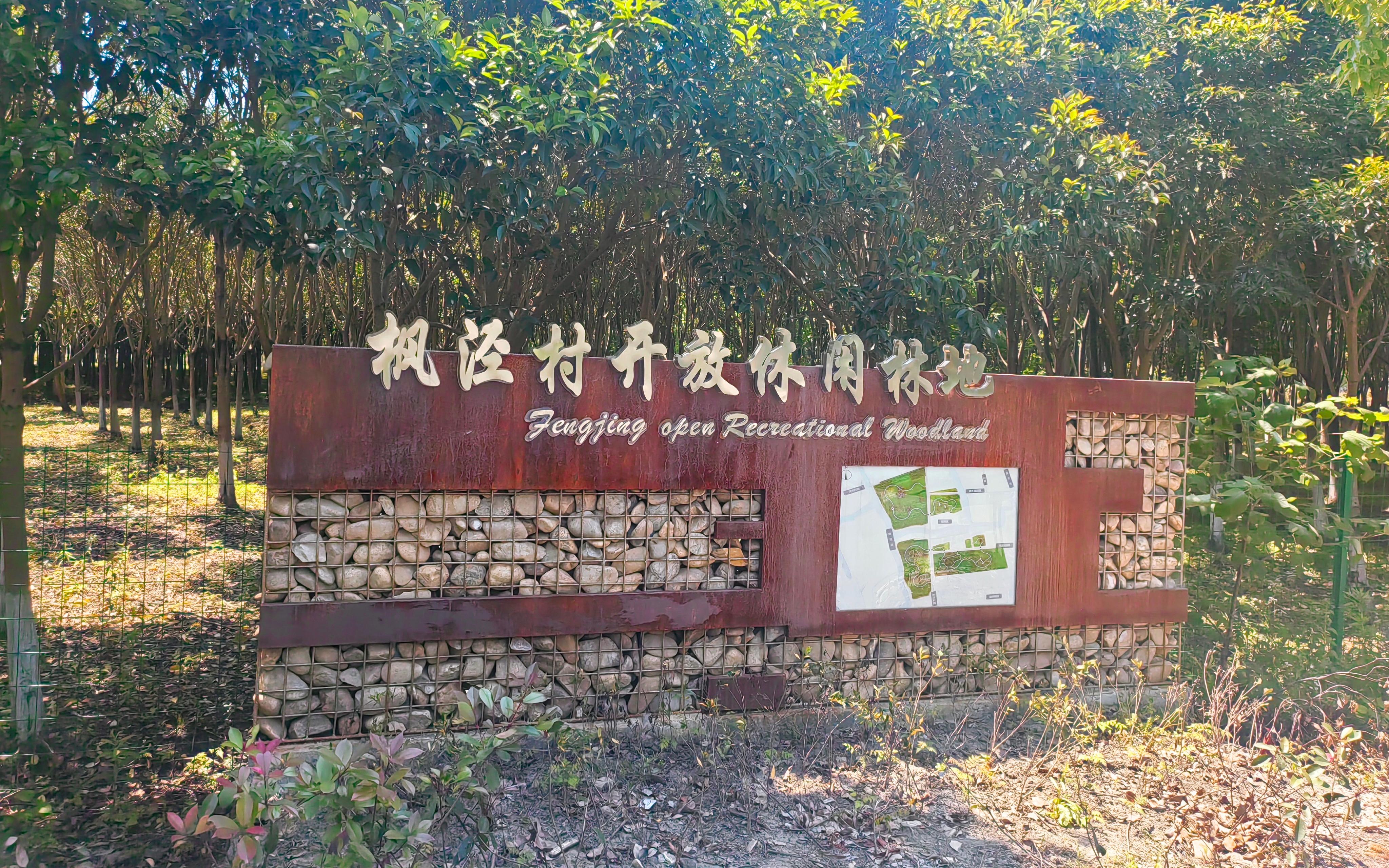 市林业总站赴青浦区调研指导开放休闲林地建设工作6.jpg