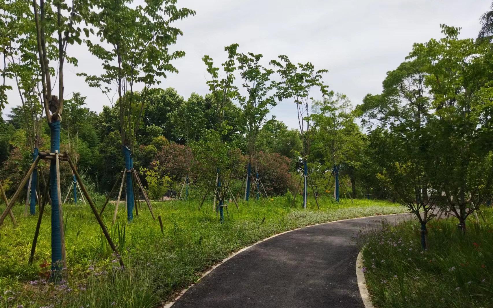 上海新建一座莫奈花园张家浜楔形绿地工程六期一标段竣工