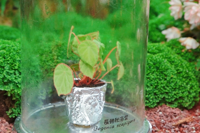 8C9A5350_副本.jpg
