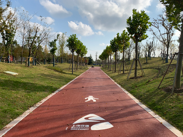 浦星公路（农民街—浦南运河）健身步道3.jpg