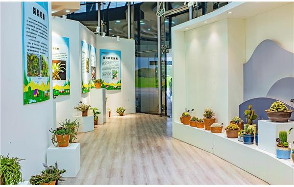 2021年辰山植物园多肉植物展正式开展