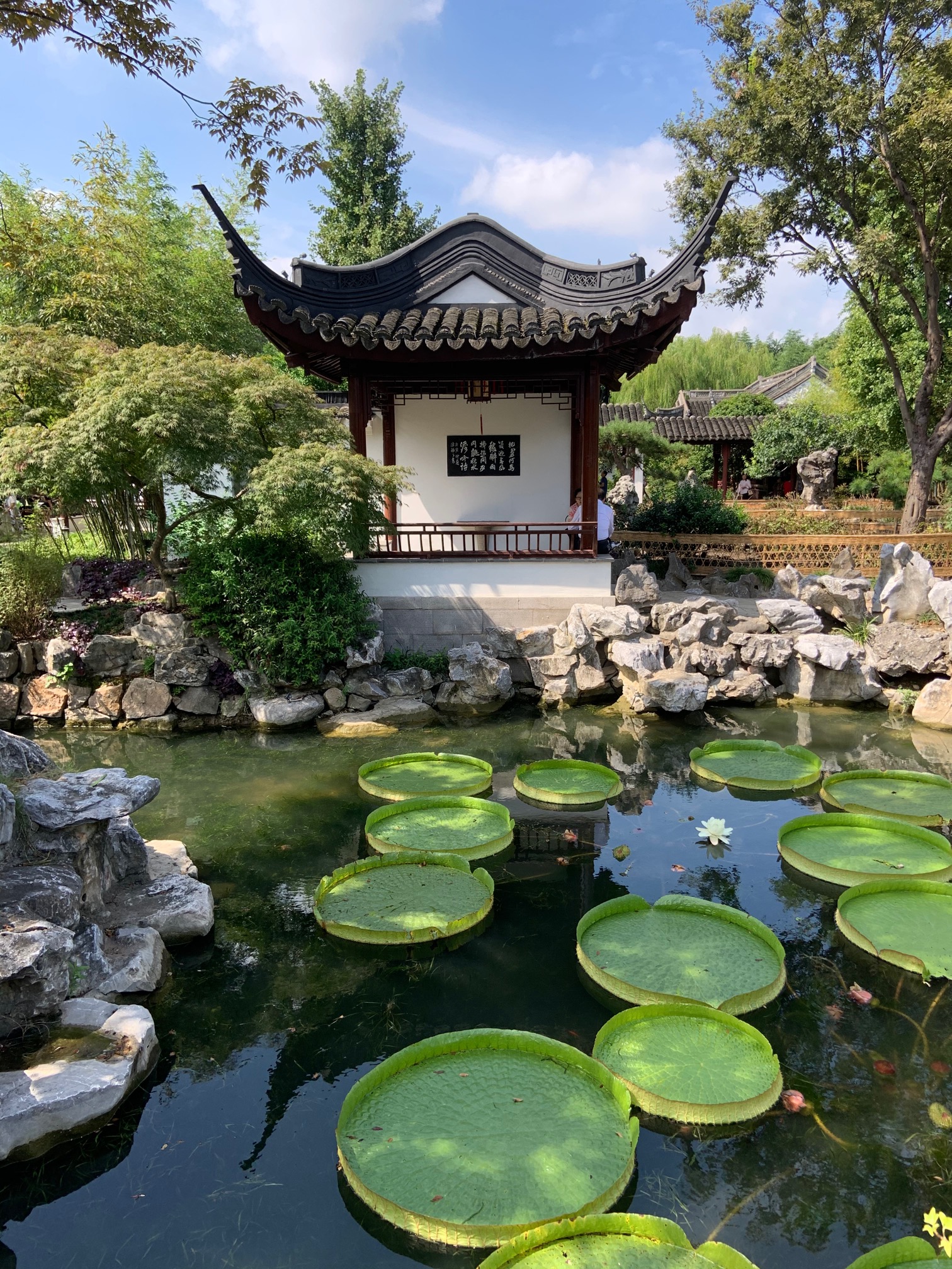 作品名称:醉雨亭__作者姓名:骆晓华.jpg 作品名称:醉雨亭__作者姓名:骆晓华.jpg