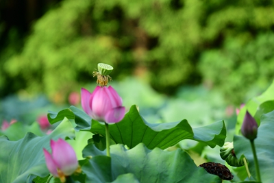 DSC_3754.jpg DSC_3754.jpg