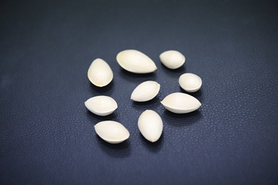 银杏（种子 去种皮）.jpg
