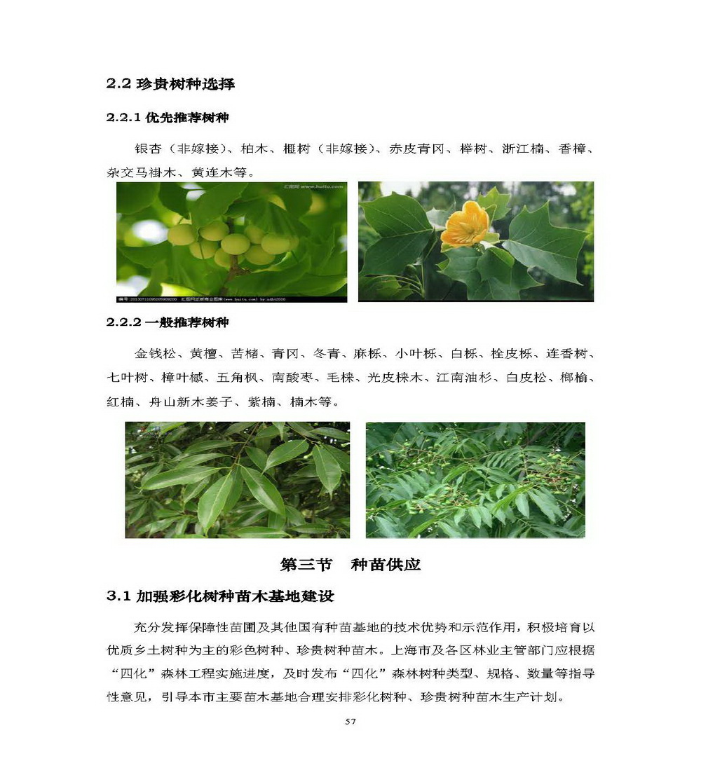 附件1_附件:上海市“四化”森林建设总体规划_页面_63.jpg
