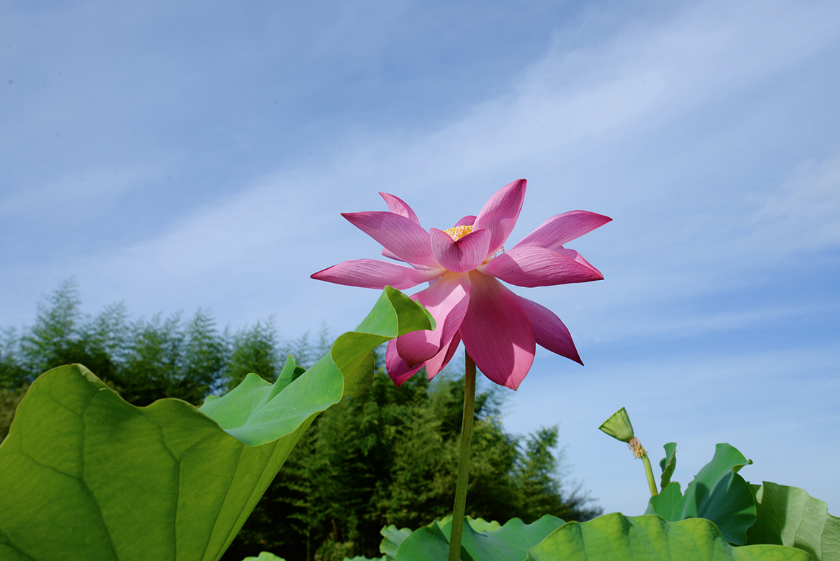‘太空36号’ 2.jpg