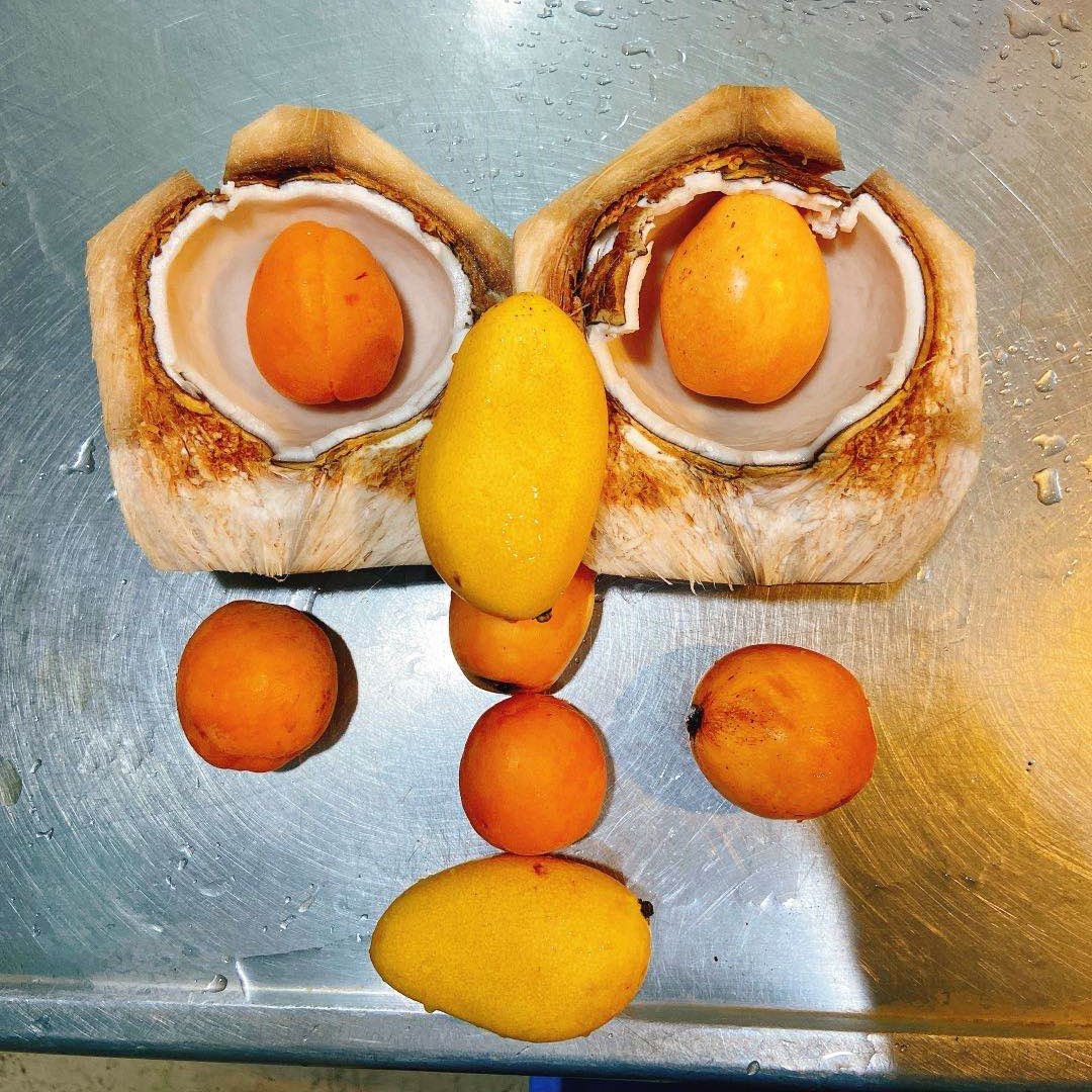 大猩猩海弟_动物观察_上海市绿化和市容管理局