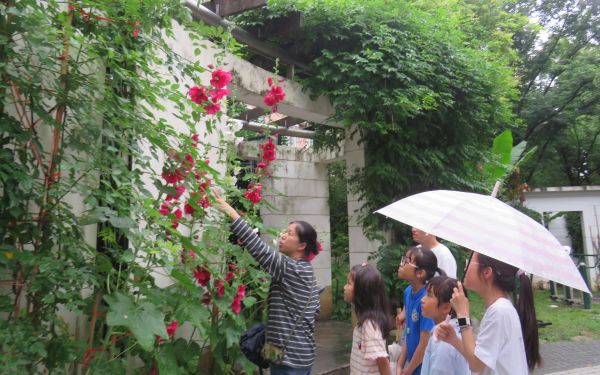 藤蔓广场探花1.JPG