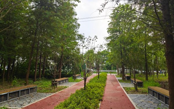 BodyPart_36e85c69-8cfa-4947-a11b-5fbbe256deaf.jpg BodyPart_36e85c69-8cfa-4947-a11b-5fbbe256deaf.jpg