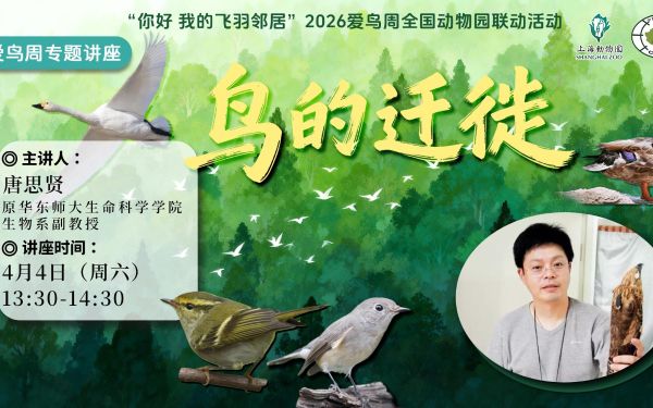 鸟类专题讲座.jpg