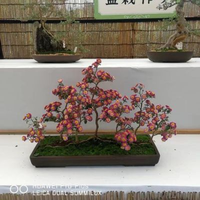 微信图片_20221212101931.jpg