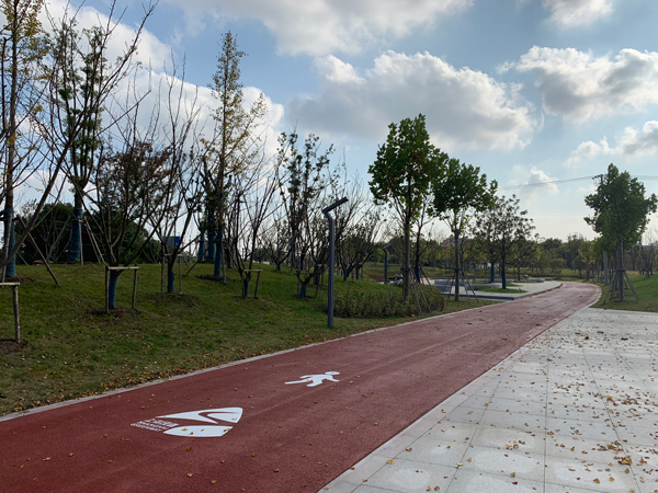浦星公路（农民街—浦南运河）健身步道2.jpg