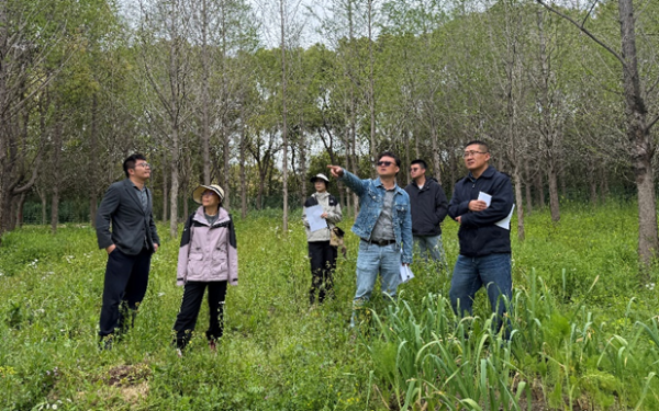 技术赋能守绿意_精准指导促提质__我站赴奉贤区开展森林经营技术指导工作2.png