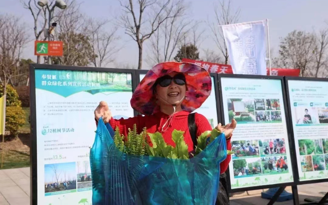 图片33.png