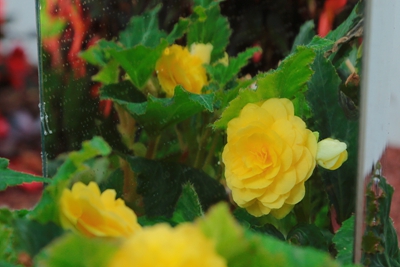 8C9A5373_副本.jpg