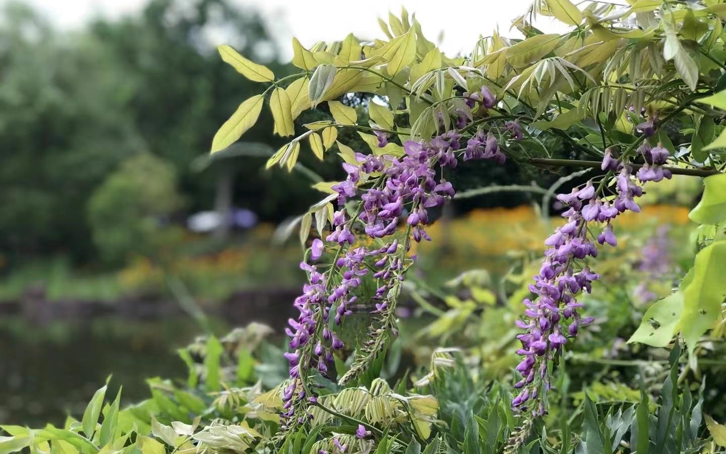 61448bedba5ef18d9c71986e21046b0.jpg 61448bedba5ef18d9c71986e21046b0.jpg