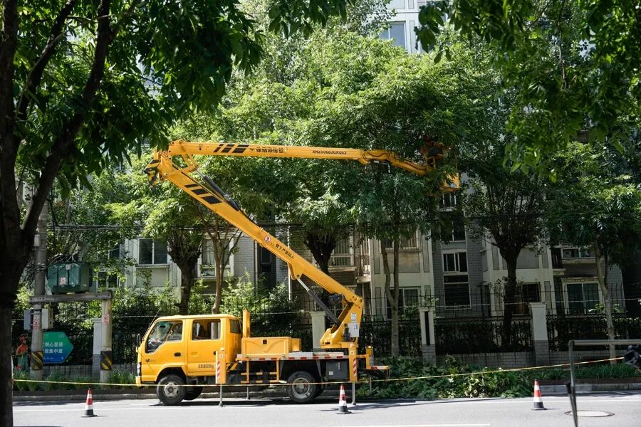 夏令热线｜从“可进入”到“可享用”，让绿色生态与城市生活深度融合