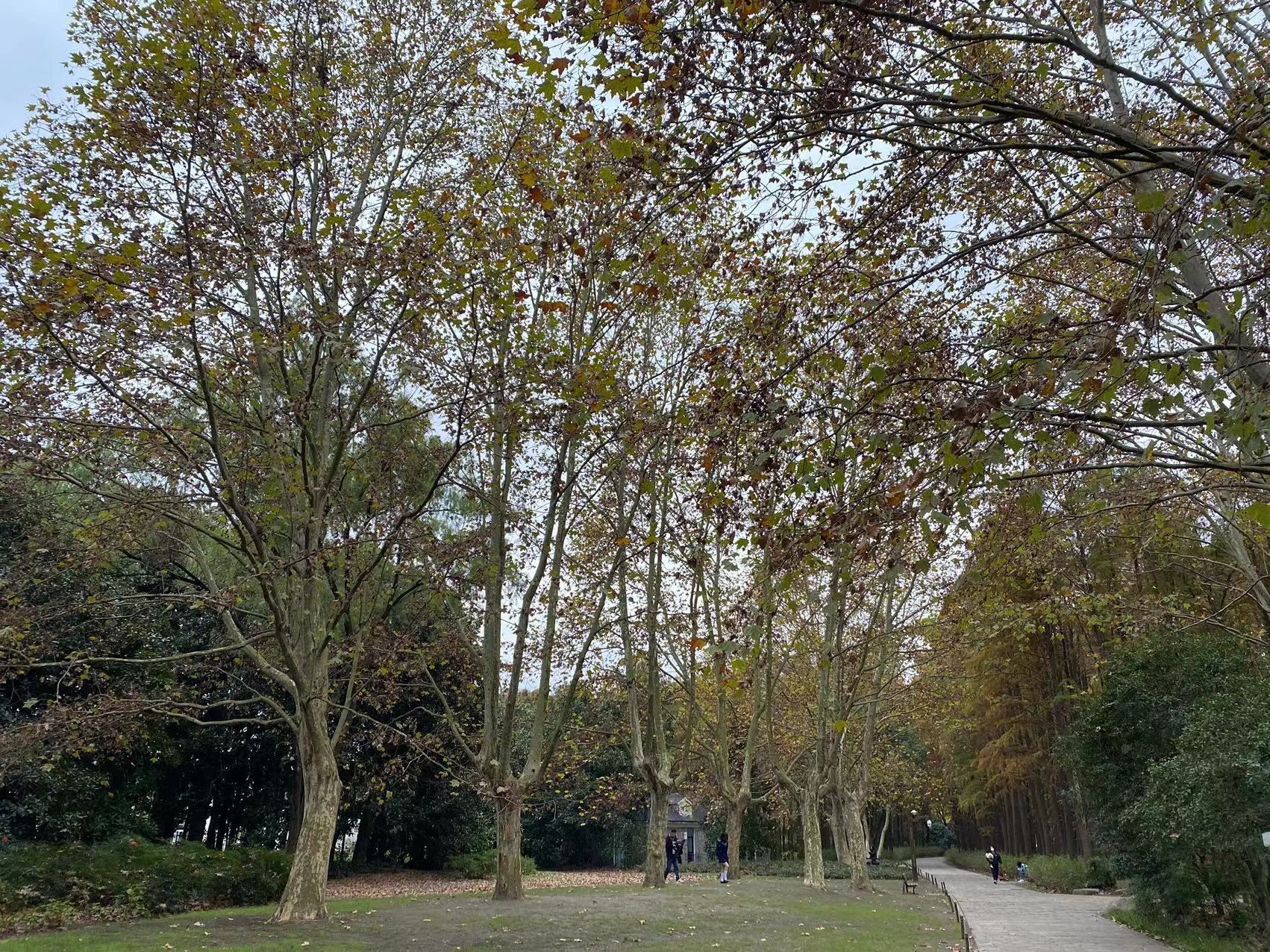 微信图片_20221209090237.jpg 微信图片_20221209090237.jpg