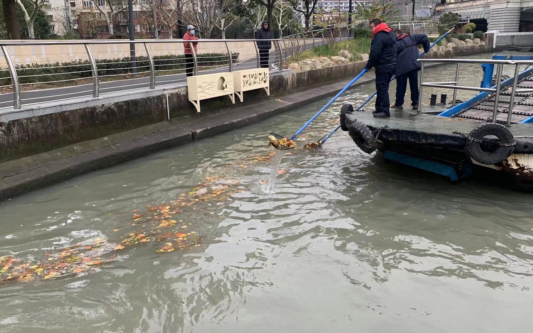 上海市市容環境衛生水上管理處及時處置季節性落葉汙染影響