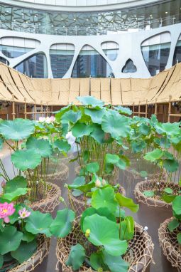 微信图片_20250801162334.jpg 微信图片_20250801162334.jpg