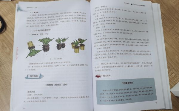 ab37508ef911a565548ae7fa97dbf194.jpg ab37508ef911a565548ae7fa97dbf194.jpg