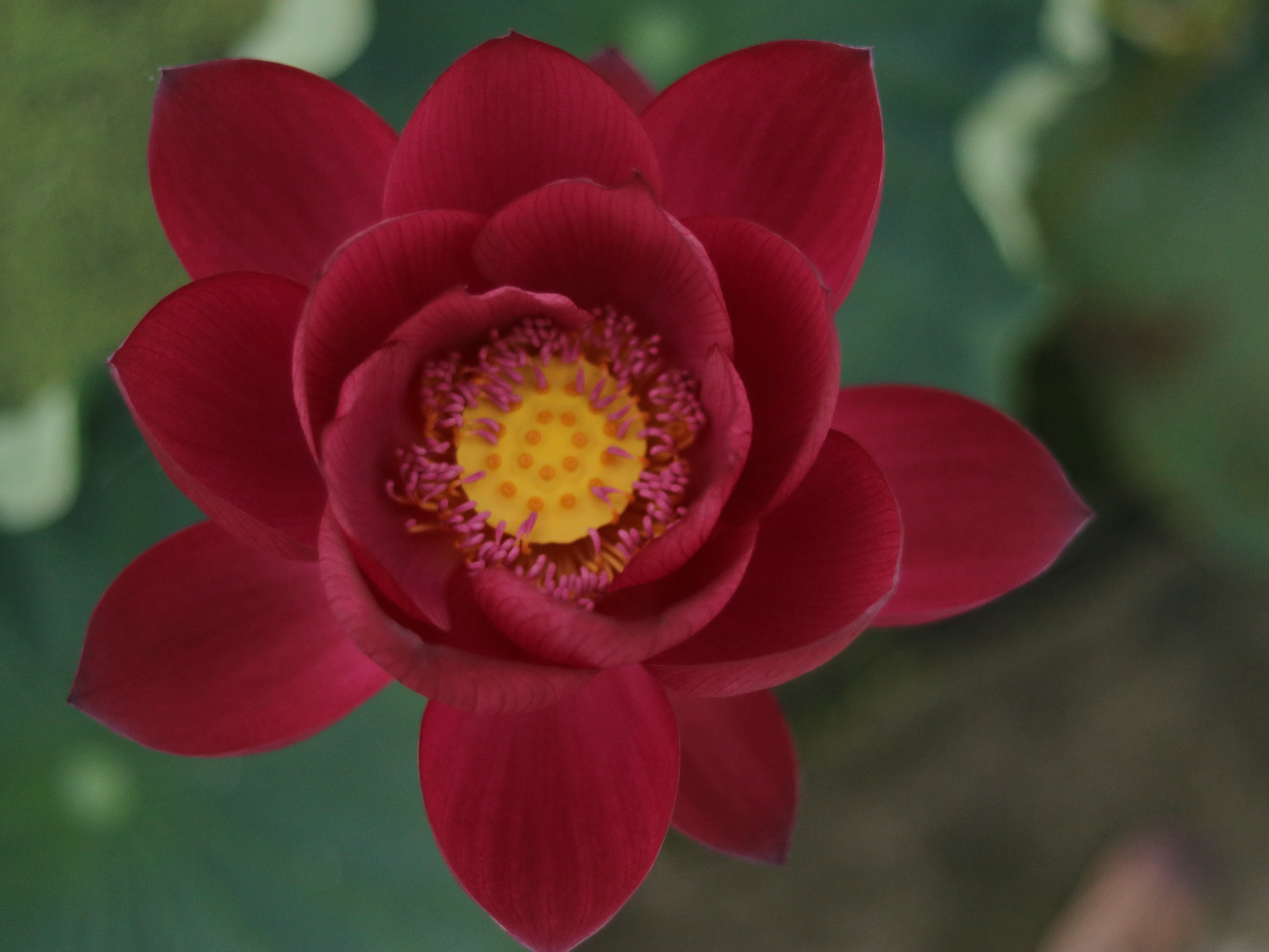 古都绛房 (9).JPG