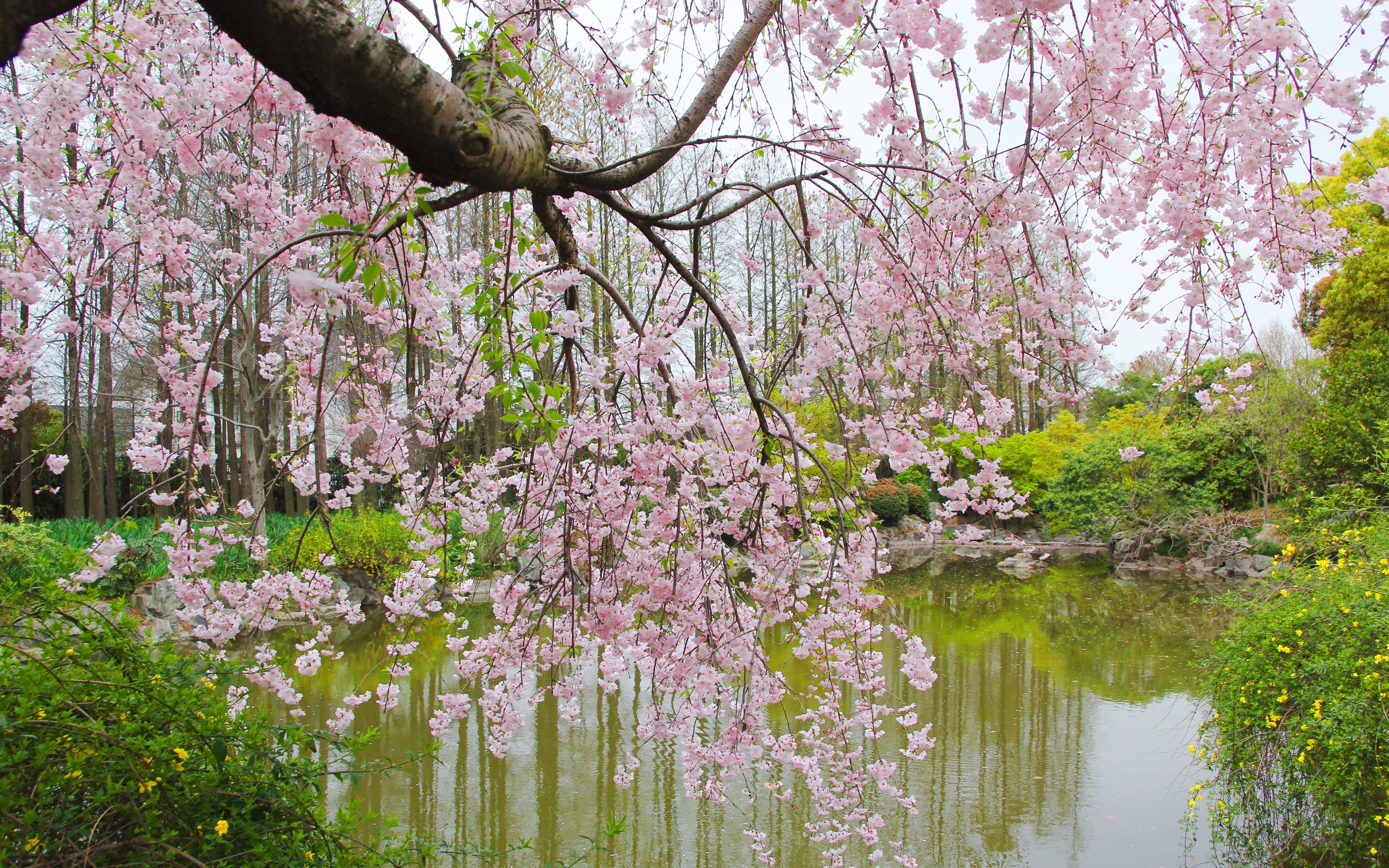 微信图片_20220402120524.jpg 微信图片_20220402120524.jpg