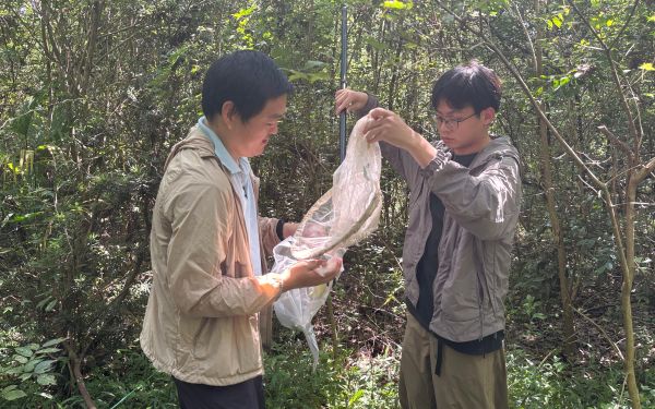 市林业总站启动上海城市森林抚育成效及松江大样地调查2.jpg 市林业总站启动上海城市森林抚育成效及松江大样地调查2.jpg