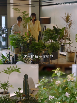 16《请叫我总监》.jpg