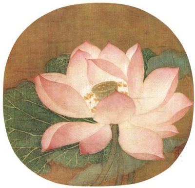 宋吴炳《出水芙蓉图》.jpg