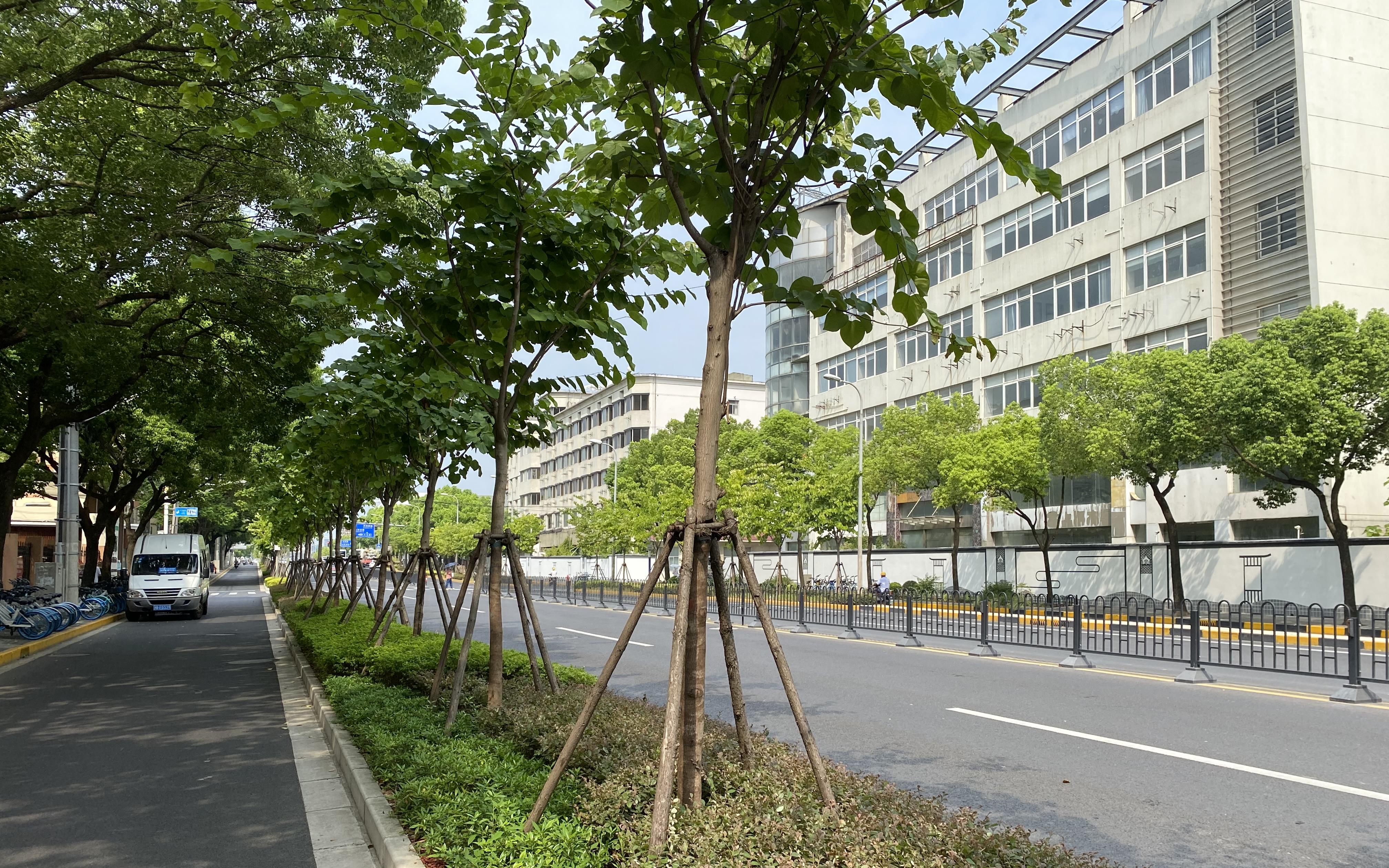 推进绿化特色道路创建指导调研工作_要闻动态_上海市绿化和市容管理局