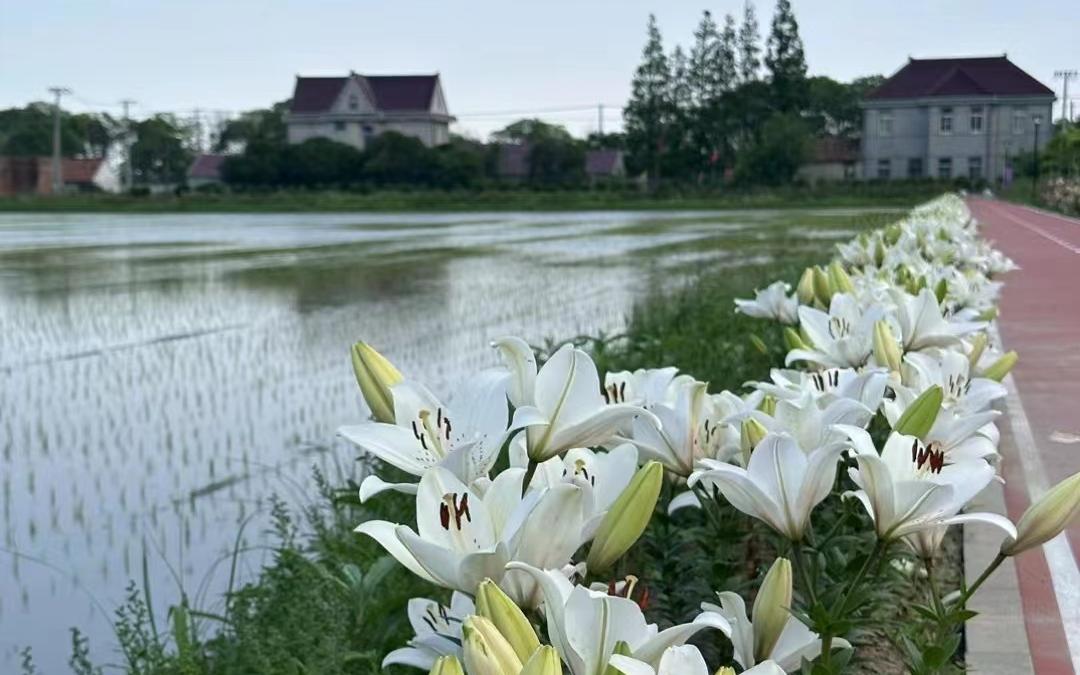 e7d7967c0b0849167b5d1a937cd10d6.jpg e7d7967c0b0849167b5d1a937cd10d6.jpg