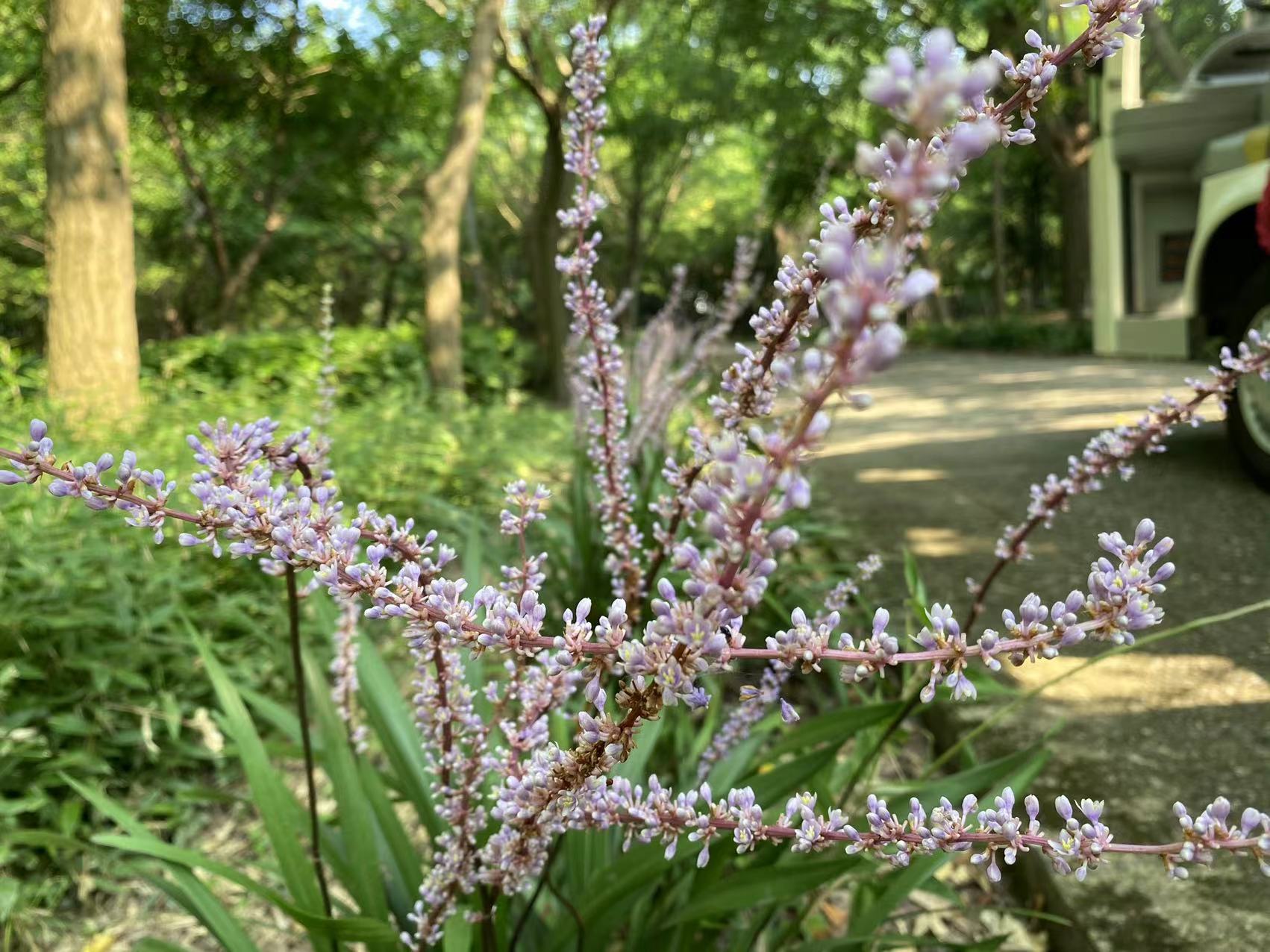 微信图片_20220805113823.jpg 微信图片_20220805113823.jpg