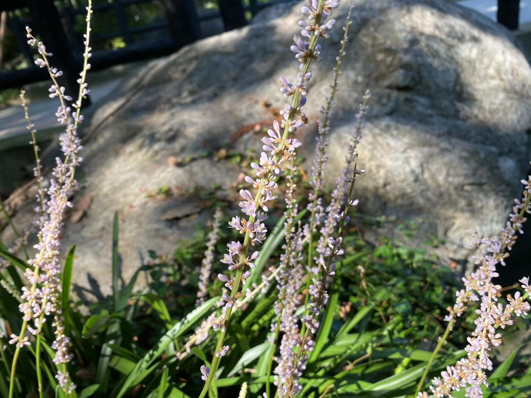 微信图片_20220801160251.jpg 微信图片_20220801160251.jpg