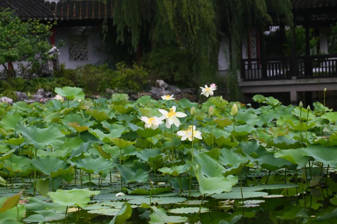 微信图片_20210608111327.jpg
