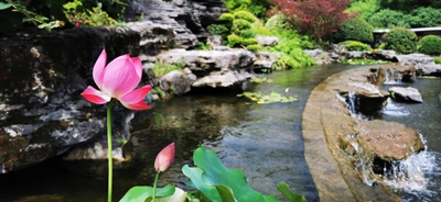 25316e55368399c9ab53d158a904d47.jpg 25316e55368399c9ab53d158a904d47.jpg