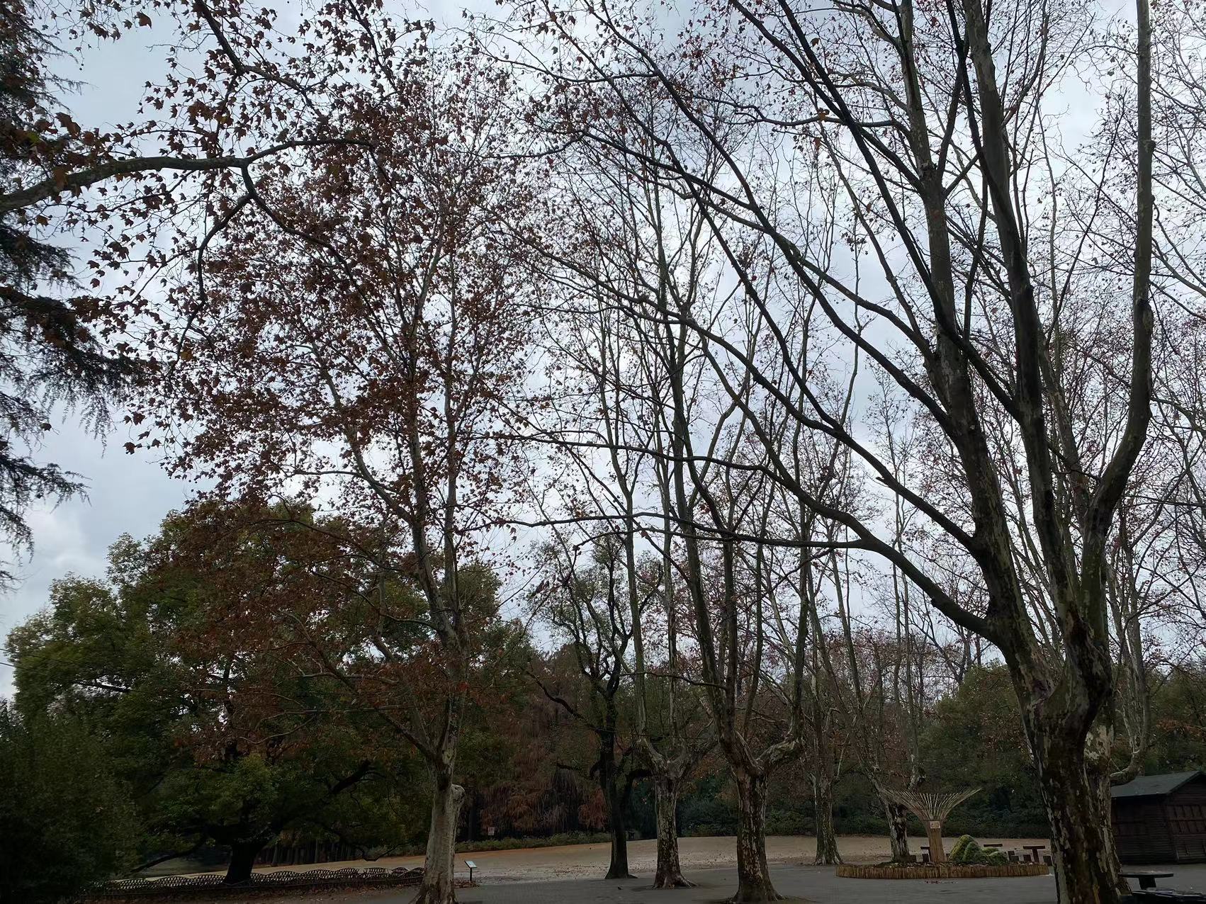 微信图片_20231219152319.jpg