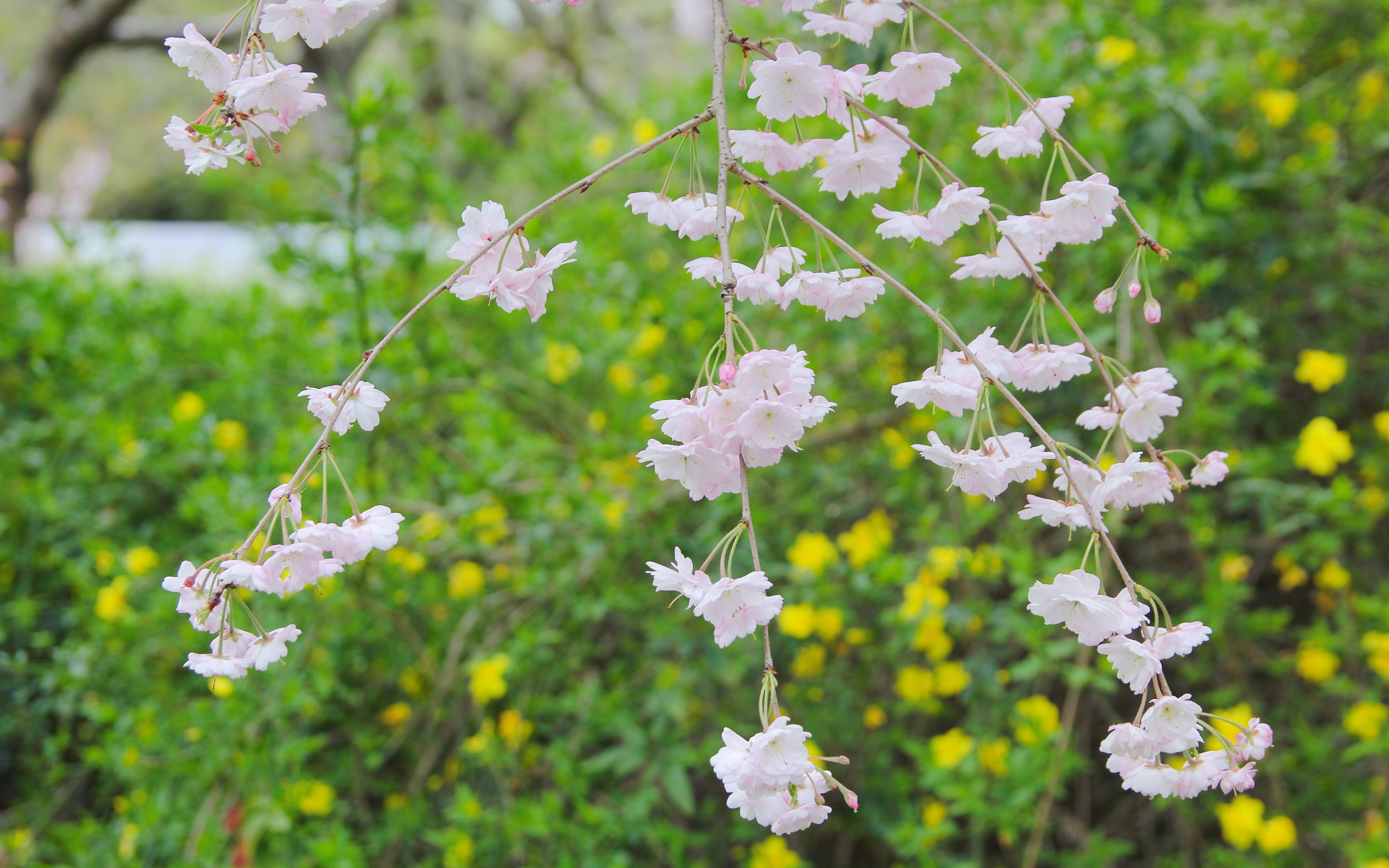 微信图片_20220402120511.jpg 微信图片_20220402120511.jpg