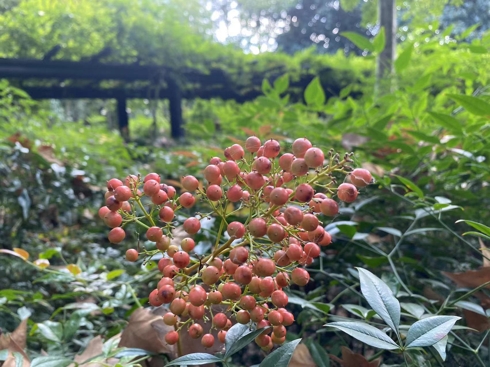 微信图片_20231030141351.jpg